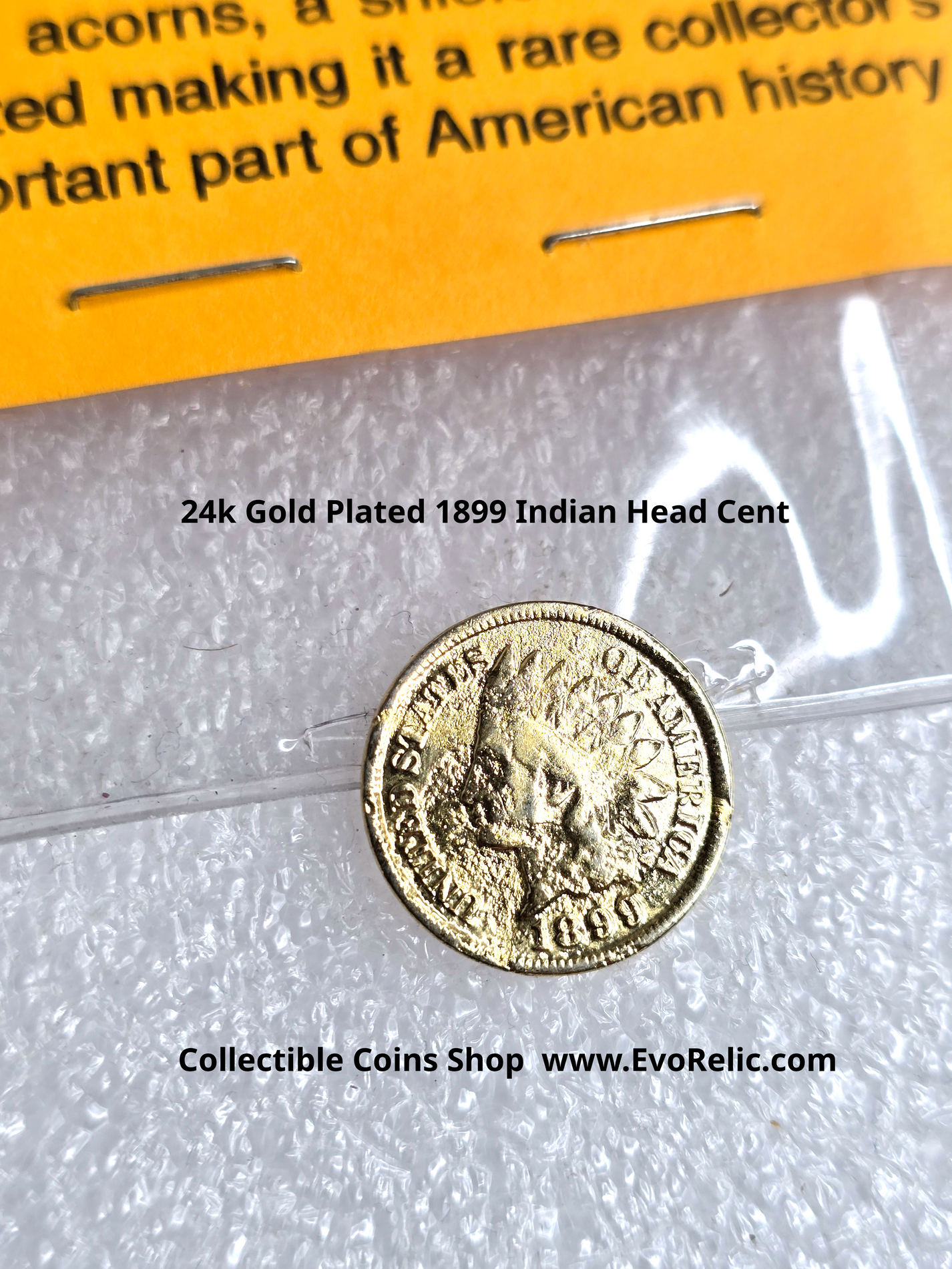 24k Gold Plated 1899 Indian Head Cent